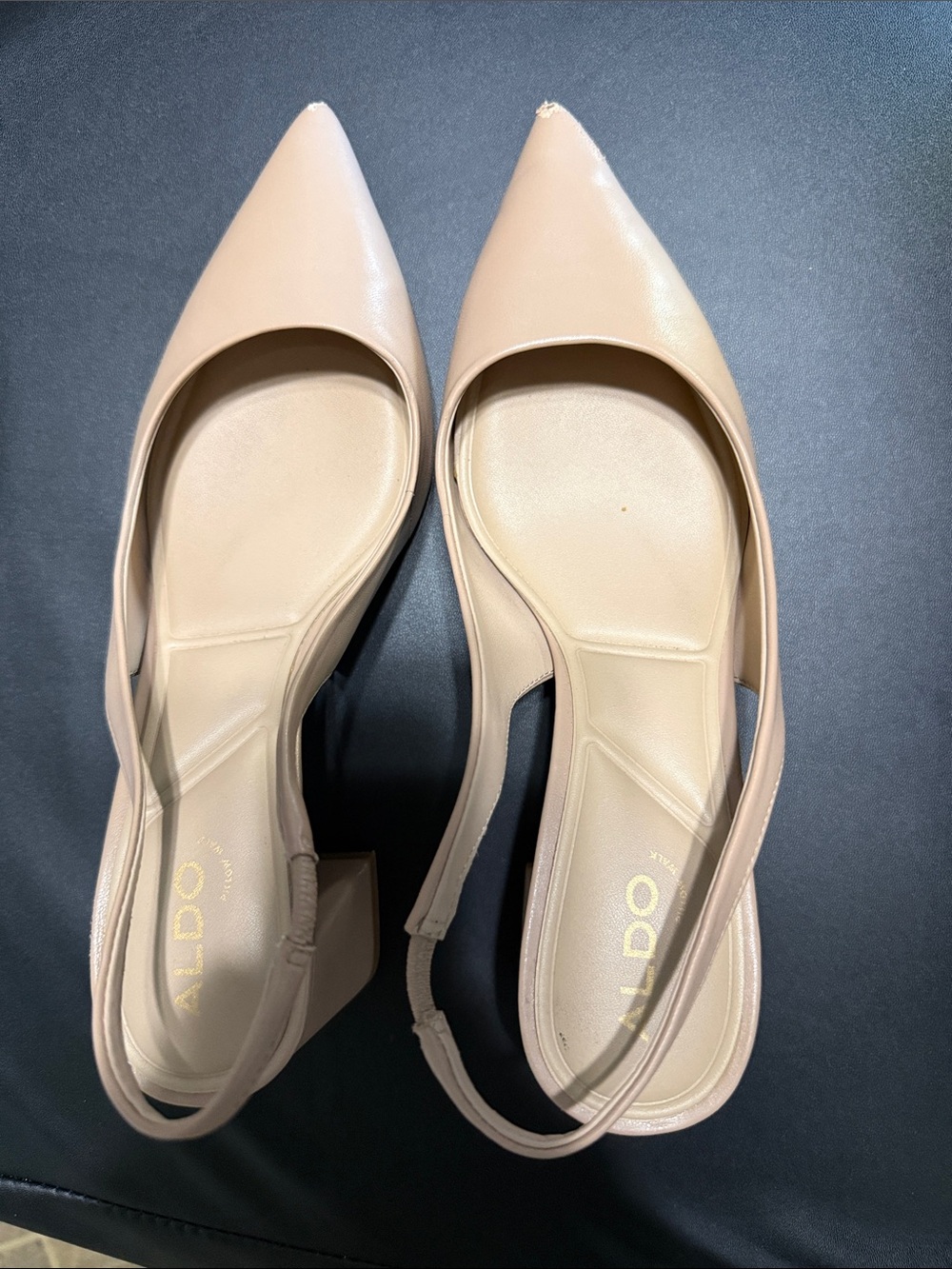 Aldo Blush Beige Pointed-Toe Slingback Pumps